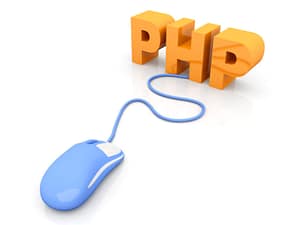 php programmer dfw