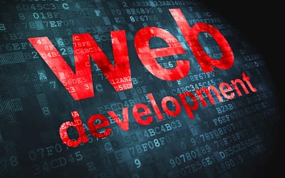 Do You Need A Web Developer Or Designer?