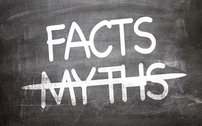 Custom Software Development Company: What Not To Believe