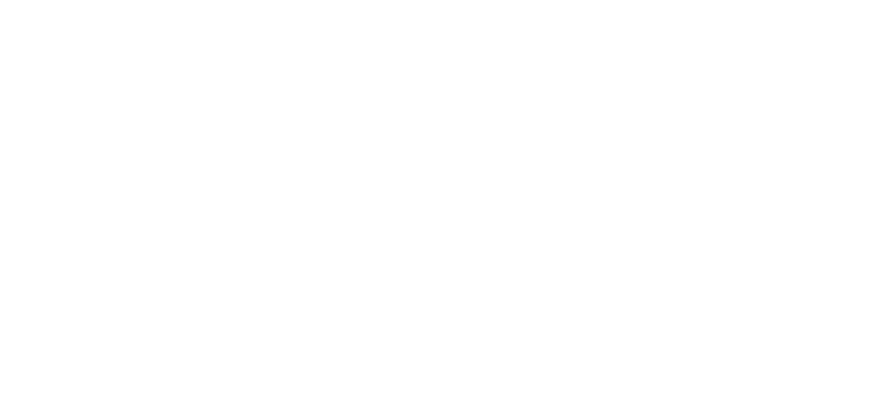 Axis Software Dynamics Logo